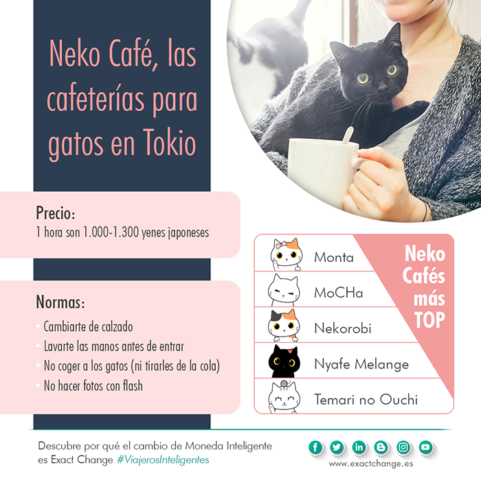 infografia-neko-cafe-cafeterias-gatos-tokio-famosas-exact-change
