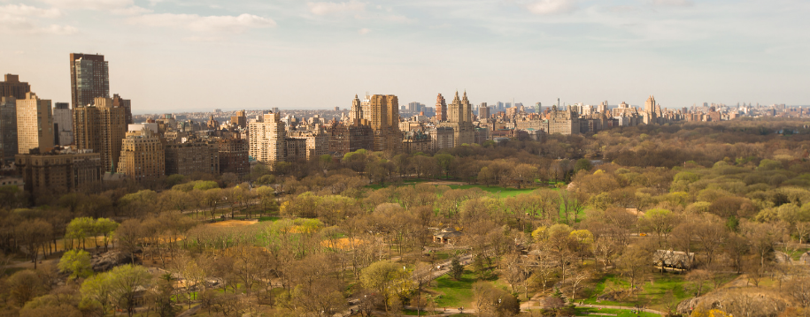 planes-nueva-york-otono.png