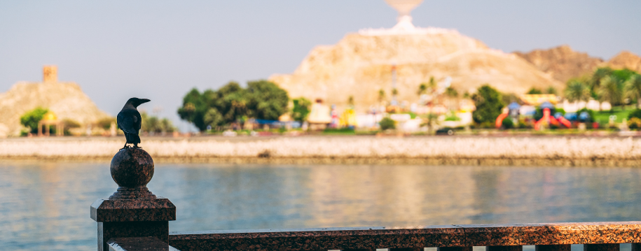 playas-virgenes-oman.png