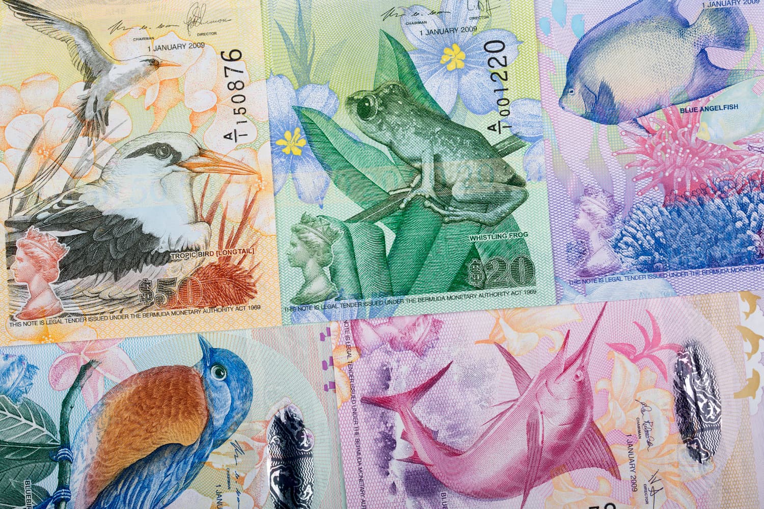 Más de 80 monedas extranjeras — El mayor stock de España