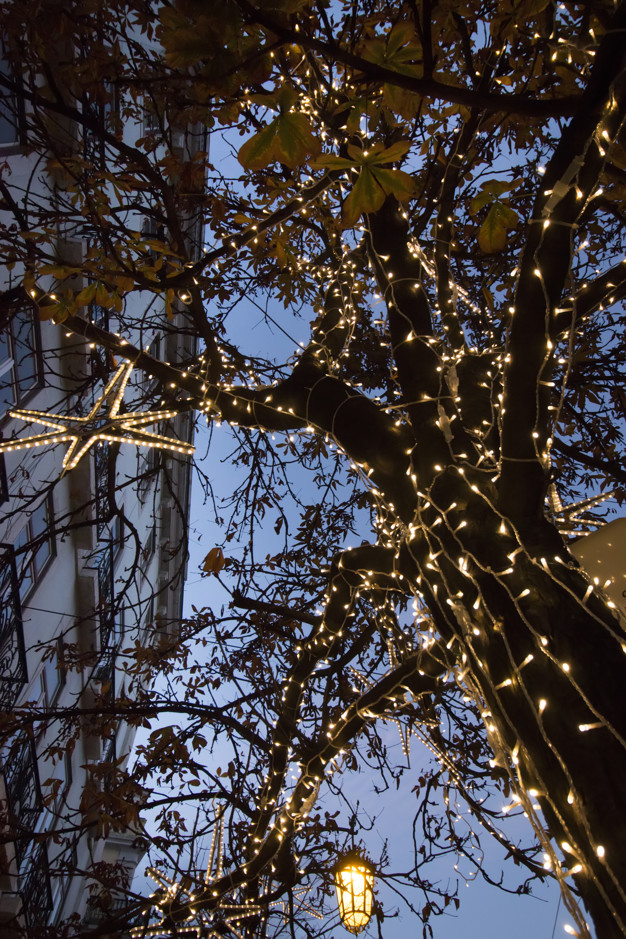 ciudades-para-pasar-navidades-madeira-portugal