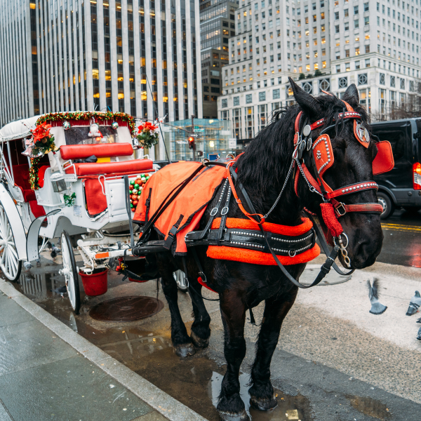 tienes-un-email-peliculas-navidad-de-los-90-rodadas-en-nueva-york