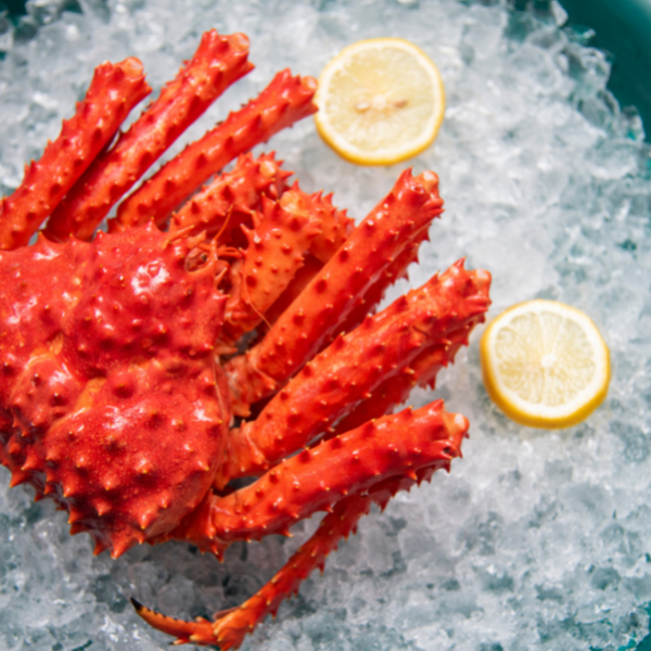king-crabs-comida-tipica-noruega-mejores-platos