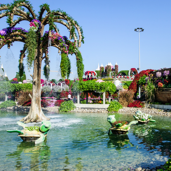 que-ver-dubai-miracle-garden-entradas-precio