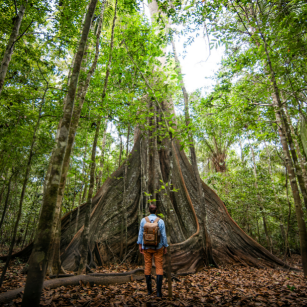 pagar-efectivo-excursiones-colombia