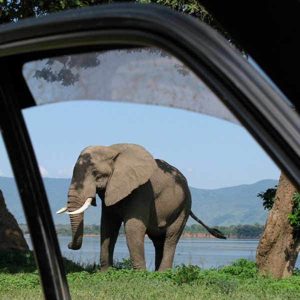 pagar-efectivo-excursiones-kenia