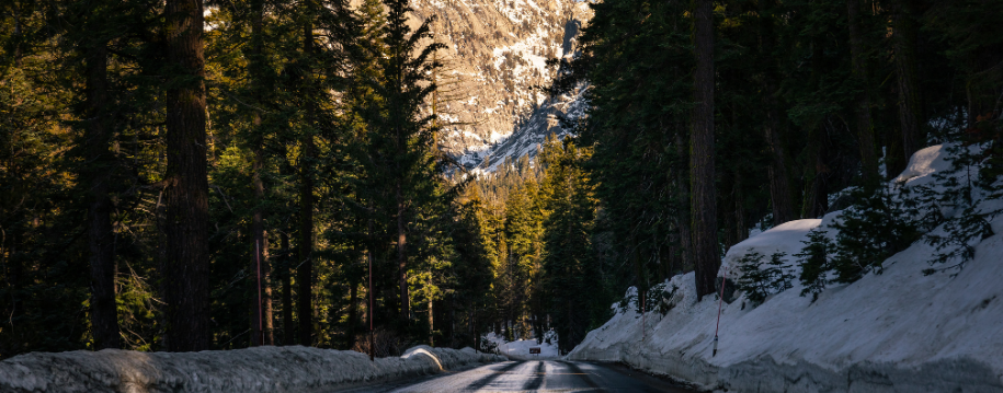 carretera-sequoia-national-park-california.png