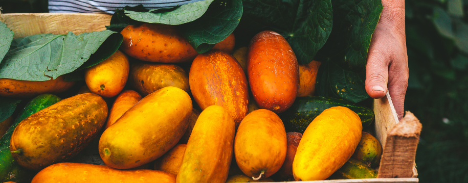 cuales-son-mejores-mercadillos-para-visitar-colombia.png