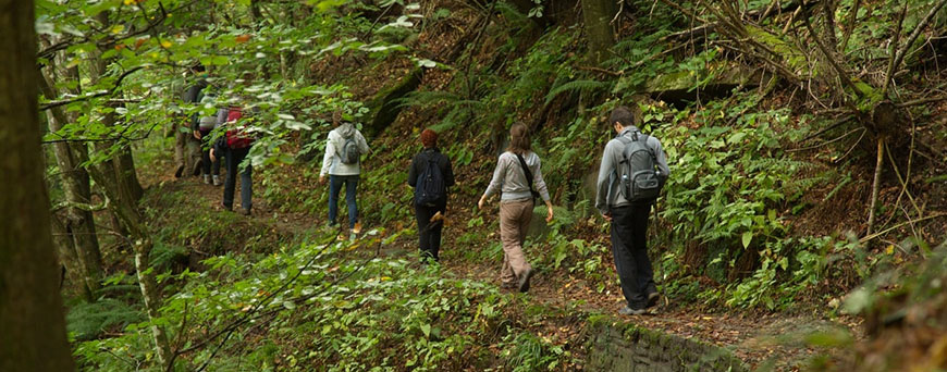 excursion-parque-casentinesi-pb.jpg