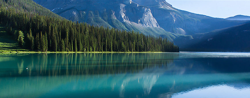 paisaje-columbia-canada-pb.jpg