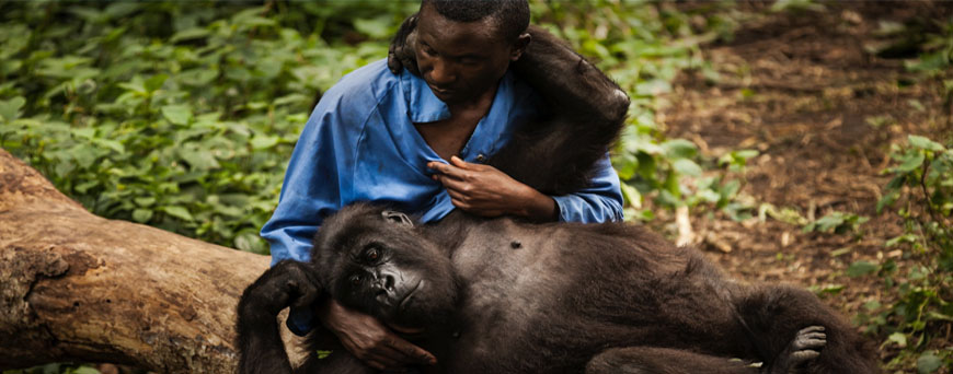 parque-nacional-virunga-congo-pb.jpg