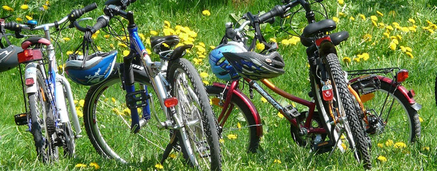 ruta-bicicleta-grupo-familia-pb.jpg