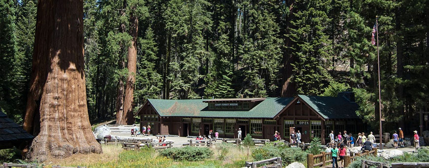 sequoia-park-california-pb.jpg
