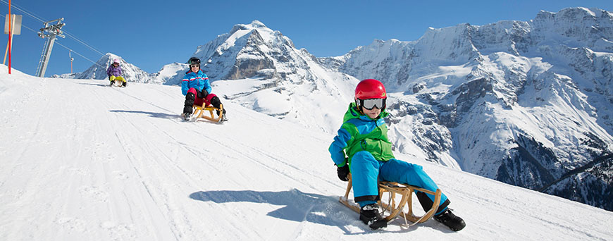 trineo-muerren-pb.jpg