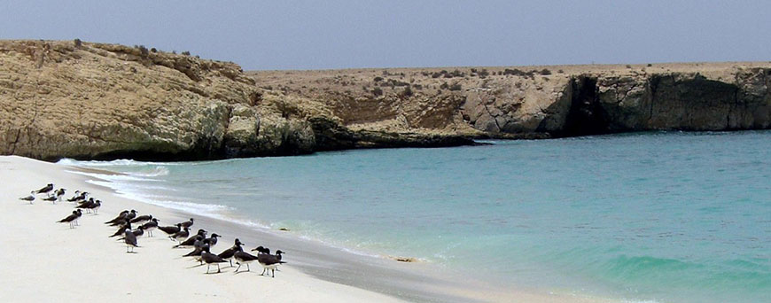 visitamos-las-playas-virgenes-de-oman-pb.jpg
