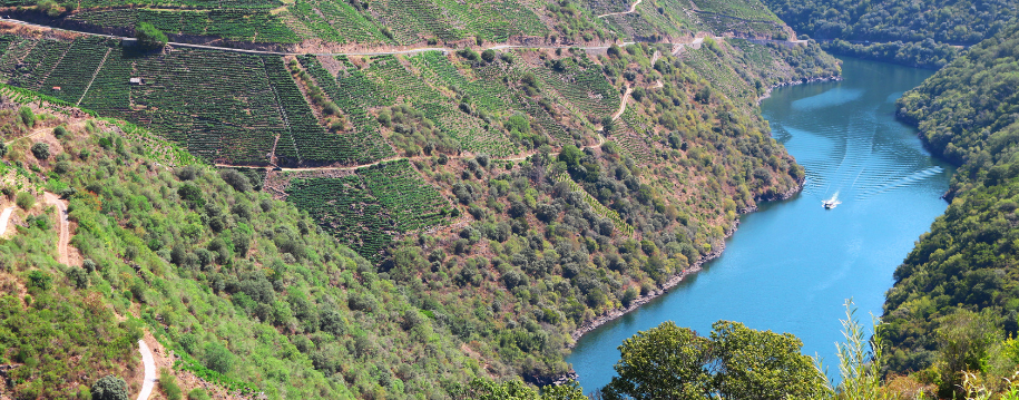 visitando-ribeira-sacra.png